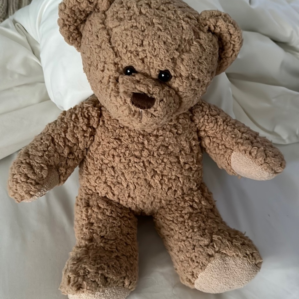 Build a bear stuffed bear